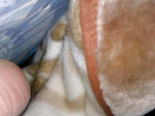 Der Klang einer lega ...