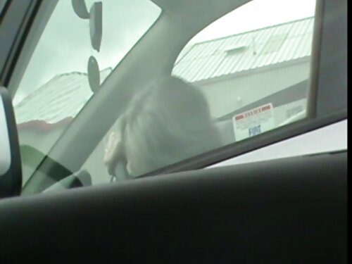 Ficken und kostenlos ...