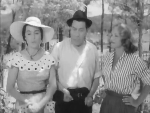 Hausgemachter sexfil ...