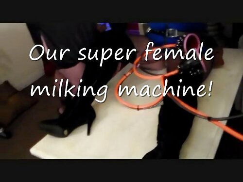 Der Kuss der verdamm ...